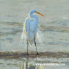 Egret Shimmer II